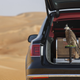 Illustration for article titled At Long Last: Bentley Makes A Bentayga For Falconry